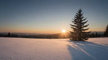 Et fredelig vinterlandskap med en klar himmel og en sol lågt på horisonten, som markerer den korteste dagen på året.