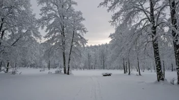 Et vinterlandskap i Norge med snødekte trær og bakke.