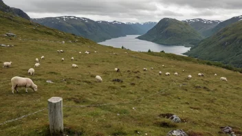 Et gjerd eller en grensemarkør i et norsk fjellandskap, brukt til å illustrere begrepet beiteavgrensing.