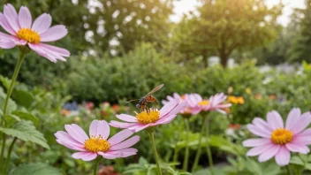 En insektsblomst med et insekt som besøker den, satt i en hage.