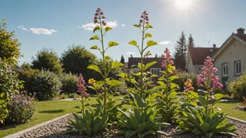 En vakker mangekjærplante i en hage, med fargerike blomster og frodige grønne blader.