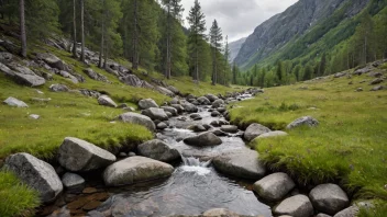 En liten bekk i et norsk fjellandskap