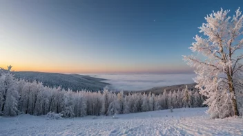 Et vinterlandskap med en klar himmel og en temperaturvisning som viser under frysepunktet.