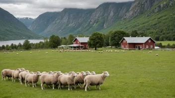 Et fårhold i Norge med en flokk får som beiter i forgrunnen og en gård i bakgrunnen.