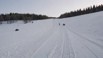 Et vinterlandskap med en sledebane som hovedfokus