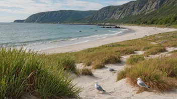 Et idyllisk strandbilde fra Norge med en blanding av dyreliv og vegetasjon.