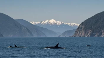 En hvalkyst med hvaler som svømmer i havet og et fjellandskap i bakgrunnen.