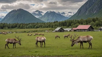 Et tamreinbeit i Norge, som viser landets unike jordbrukspraksis.