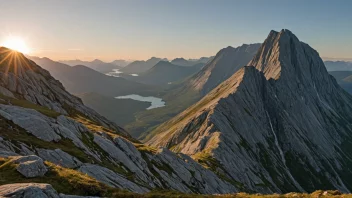 Et kuv i norske fjell.