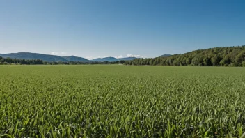 Et vakkert og fruktbart jorde i Norge med en klar blå himmel i bakgrunnen