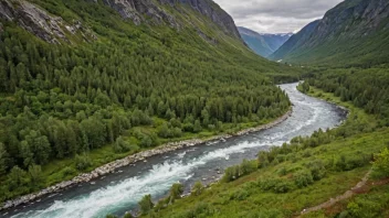 Et idyllisk landskap med en stor elv eller bekk som renner gjennom det.