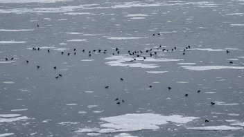 Et fredelig vinterlandskap med et tynt lag av is på vannet, omgitt av trær og åser.