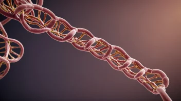 En illustrasjon av elastinproteins struktur, som viser dets elastiske egenskaper og hvordan det gir elasticitet til vev i kroppen.