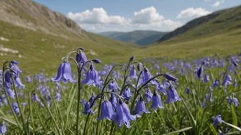 En blåklokkeplante med blå blomster i et fjellandskap