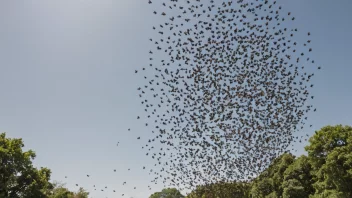 En sværm av insekter i flukt