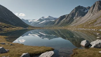 En fjellørret som svømmer i et klart og kaldt fjellvann, omgitt av steiner og vegetasjon.