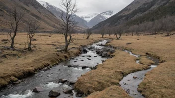 Et fredelig og rolig vinterlandskap med noen få bare trær og en liten bekk som renner gjennom det.