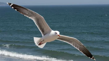 En seagull i flukt over havet med en kystlandskap i bakgrunnen.