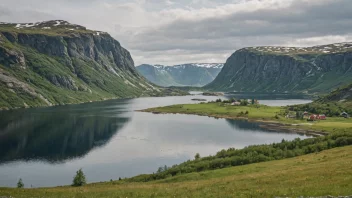 Et naturskjønt surøyd i Norge, som viser dets naturlige skjønnhet.