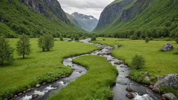 En liten bekk som renner gjennom en dal i Norge.