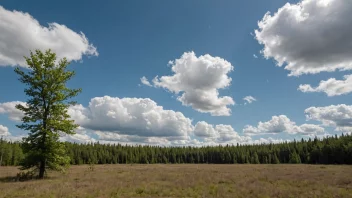 Et vakkert landskap med en blanding av skog og åpne områder.