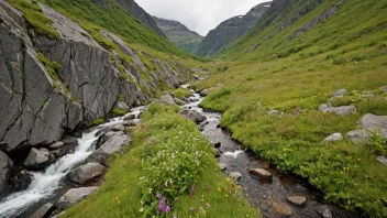 En naturskjønn brattheng i norske fjell.