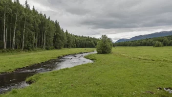 Et fredelig landskap av en slettemark i Norge, med noen trær og en liten bekk i bakgrunnen.