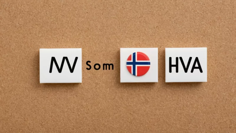 norsk grammatikk, bruk av som og hva, norsk språklæring, vanlige norske fraser, regler for norsk språk