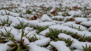 En liten mengde snø på bakken, med noen snøflak som faller fra himmelen.