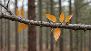 En gren med bark, som viser barkens tekstur og mønster.