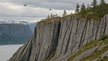 En naturskjønn utsikt over en skare i Norge, med fugler flygende over.