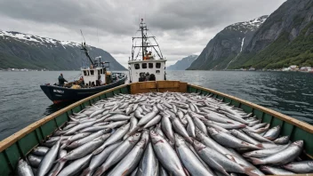 En fiskebåt med en stor fangst av sild i en norsk fjord.